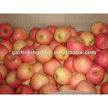 138-198 18kg yantai Prix Fuji Apple